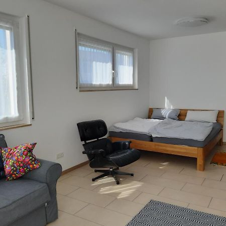 Ferienwohnung Wuerzburg Екстер'єр фото